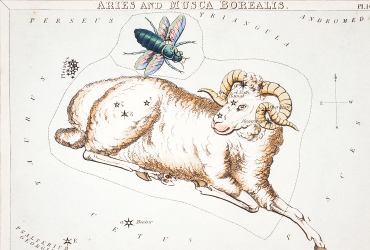 Ariete
