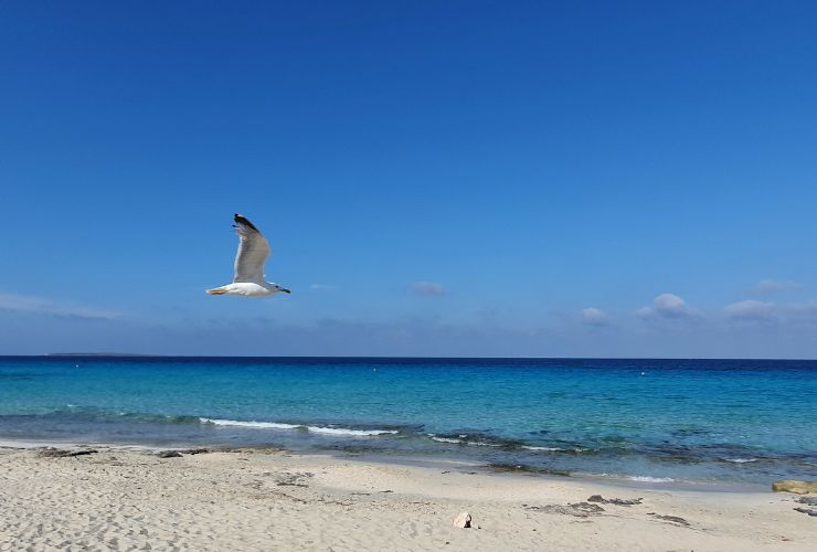 Formentera