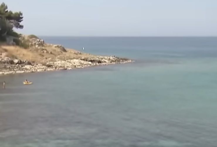 Mare