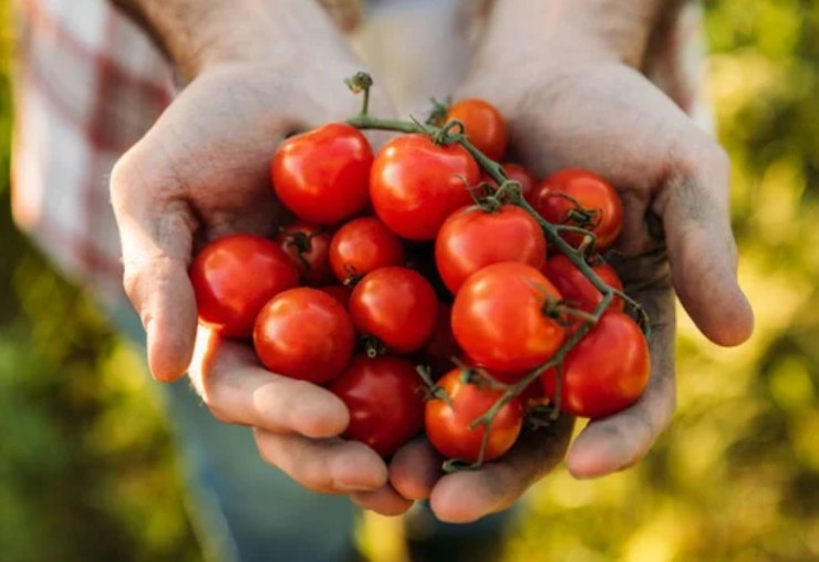 Pomodorini (Depositphotos foto) - www.statodonna.it