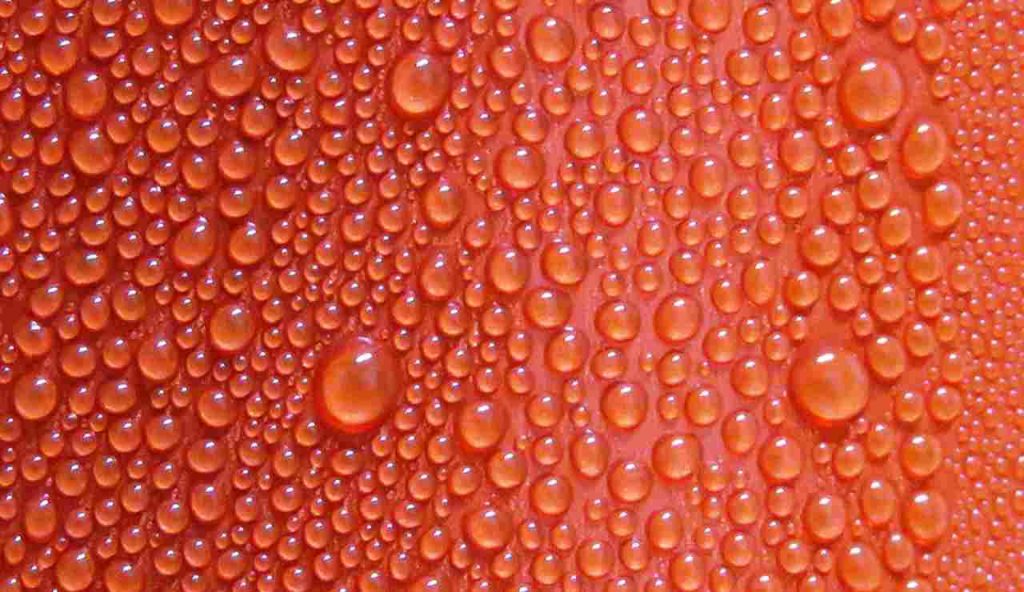 Illustrazione di una pelle sudata (Pixabay)