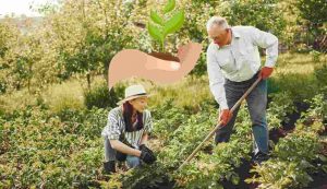 Nonno e nipote in giardino