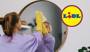 Lidl casa pulita