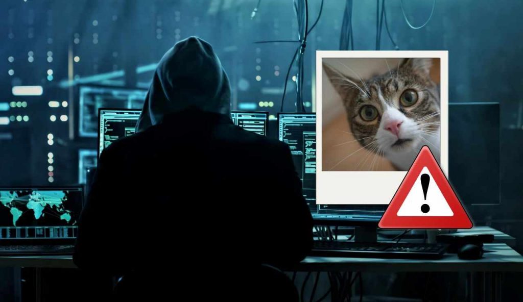 Hacker foto
