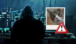 Hacker foto