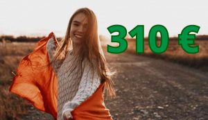 Bonus 310 euro