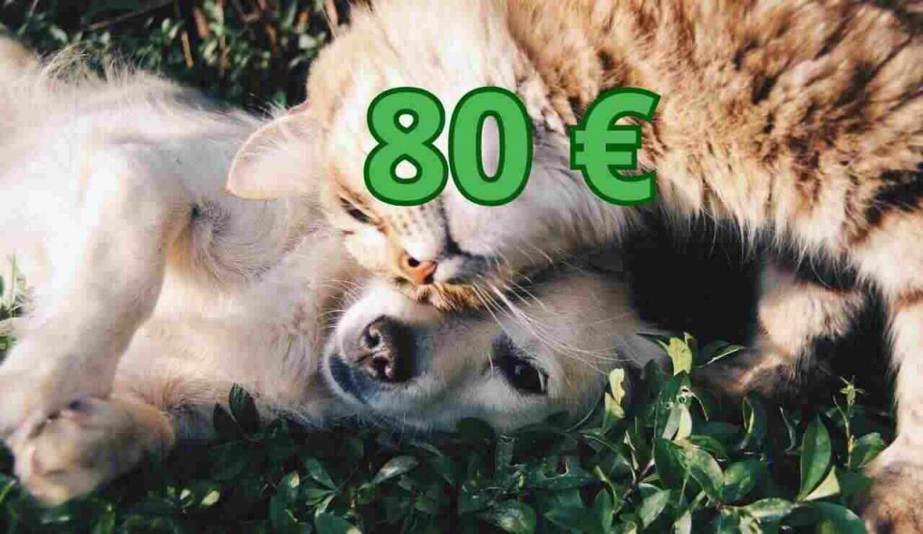 Bonus cani e gatti