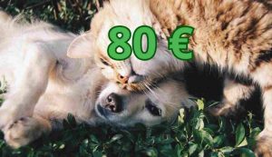 Bonus cani e gatti