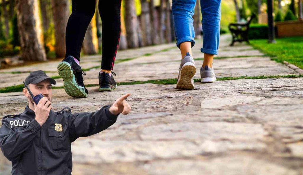 Multe salatissime, per una sola passeggiata