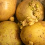 Patate con germogli (Depositphotos foto) - www.statodonna.it