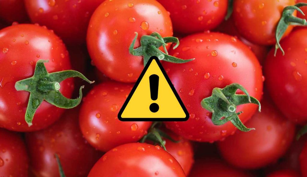 Pomodori (Pixabay foto) - www.statodonna.it